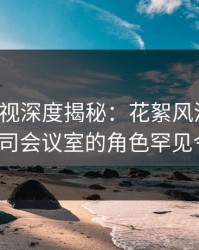 香蕉影视深度揭秘：花絮风波背后，大V在公司会议室的角色罕见令人意外
