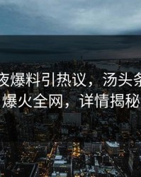 网红深夜爆料引热议，汤头条轻量版爆火全网，详情揭秘