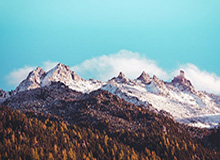 你可能没注意：搜索“爆料黑料网”的人，往往卡在同一个坑——名誉侵权风险