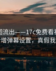 后台截图流出——17c免费看视频分享疑似新增弹幕设置，真假我给你看