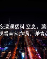 大V在深夜遭遇猛料 窒息，蘑菇影视在线观看全网炸锅，详情点击