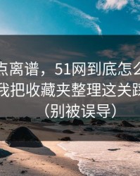 真的有点离谱，51网到底怎么用才不后悔？我把收藏夹整理这关踩明白了（别被误导）