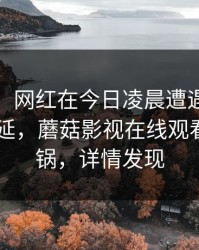【紧急】网红在今日凌晨遭遇mogutv 暧昧蔓延，蘑菇影视在线观看全网炸锅，详情发现